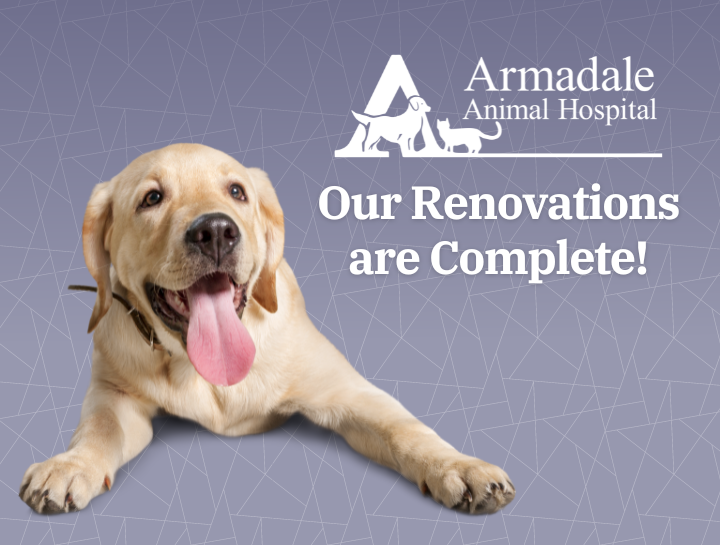 Our ongoing renovation project is complete. We are so excited!